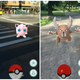 City Pokémon vs. Park Pokémon